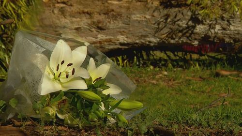 A young woman who died after she was hit by a falling tree branch in the parklands at North Adelaide has been remembered as a "beautiful person" who was loved by her friends.﻿ Flowers were left in the park, which is popular with university students and runners.
