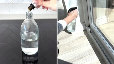 Anna Louisa shares her peppermint spray for deterring spiders