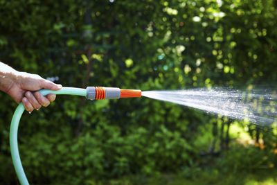 Watering the garden: 102 calories an hour