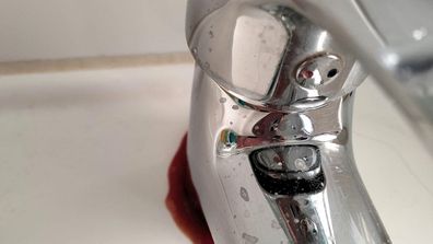 Cleaning hack tomato sauce sinks rust residue