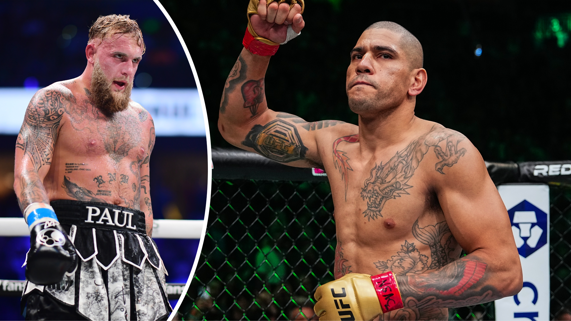'Going to decapitate him': Jake Paul doubles down on bizarre challenge of 'scary' UFC champion Alex Pereira