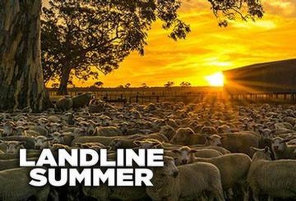 Landline Summer