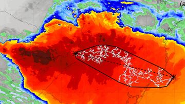 A lightning bolt stretched more than 700km across Argentina and Brazil.