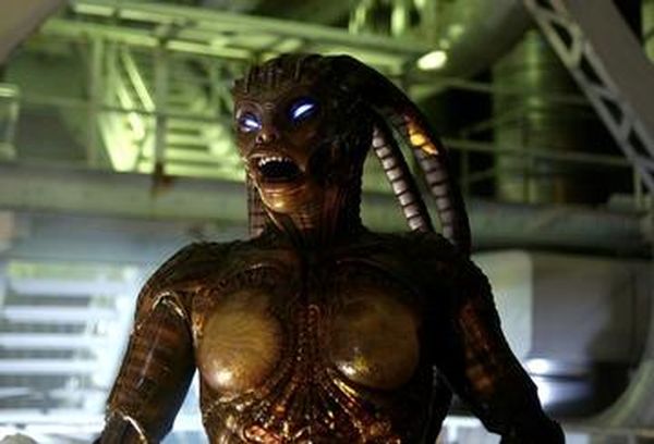 Species III