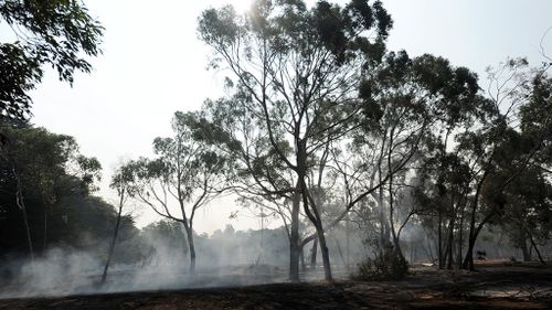 Victorian bushfire class action begins as victims describe 'ball of fire'