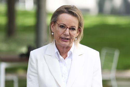 Sussan Ley si rivolge ai media al termine di un incontro del partito liberale presso il Parlamento di Canberra venerdì 13 febbraio 2026. fedpol Foto: Alex Ellinghausen