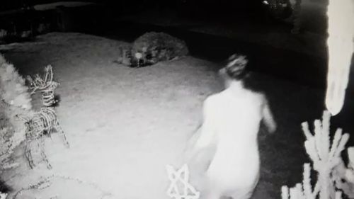 Security footage appeared to catch this woman pinching a lawn decoration from a yard.