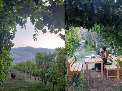 The view from the vineyard at The Barrels restaurant at Gjirokaster in Albania.