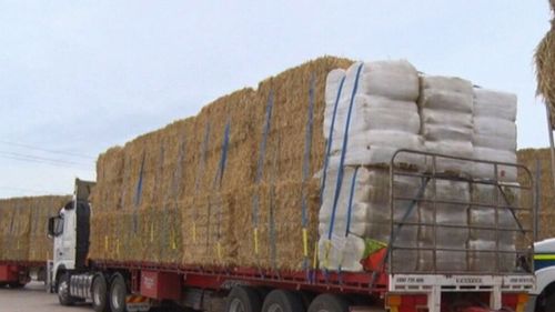 The convoy of trucks have brought 2800 bails of hay across from Western Australia.