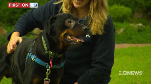 Bear is described as a "people lover" with a "zest for life." (9NEWS)