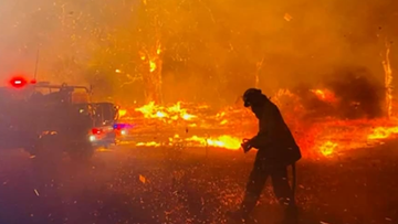 Over a thousand firefighters and volunteers have been working to help put fires out in parts of Western Australia. 