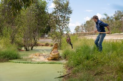 Top End Safari Camp Matt Wright feeding a croc