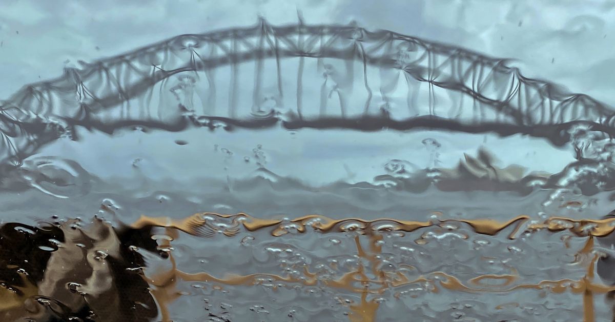 Sydney breaks almost 60-year rain record with more rain to come this week – 9News