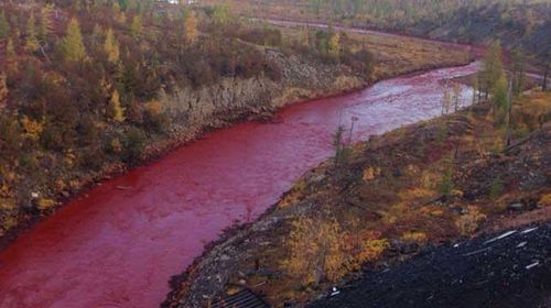 Siberian river turns blood red