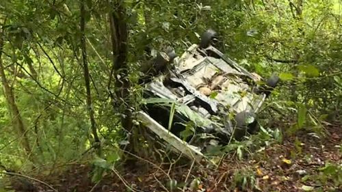 His car plunged 100 metres down the steep embankment. (9NEWS)