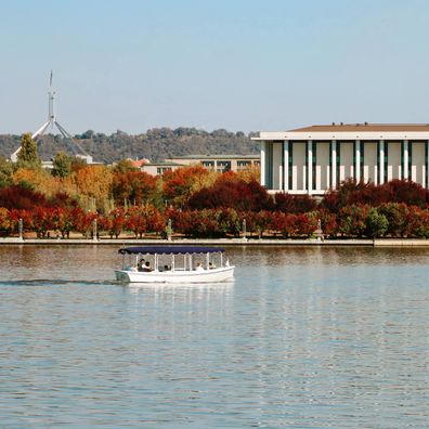 Autumn foliage in Canberra