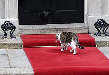 What is Downing Street cat Larry's official title?
