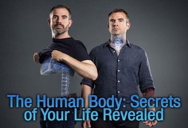 The Human Body: Secrets of Your Life Revealed