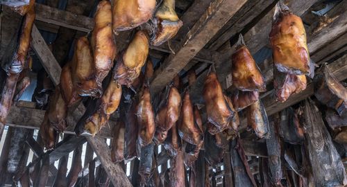 A local museum in Iceland deals with the iconic local speciality Hakarl, made from the fermented meat of the Greenland shark. 