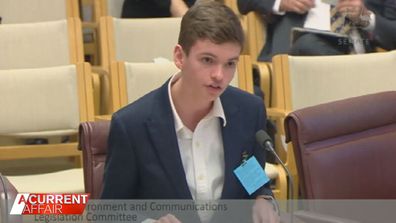 William Shackel spoke in front of a Senate committee.