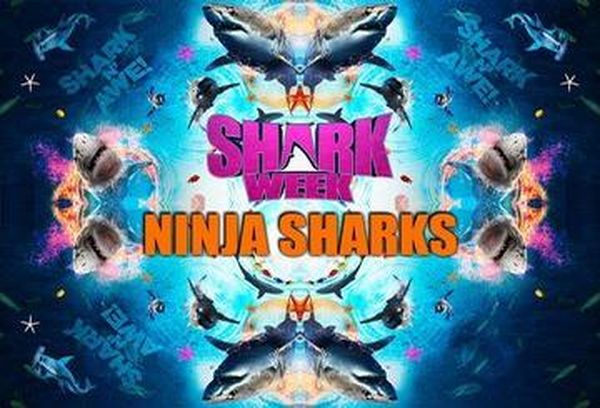Ninja Sharks