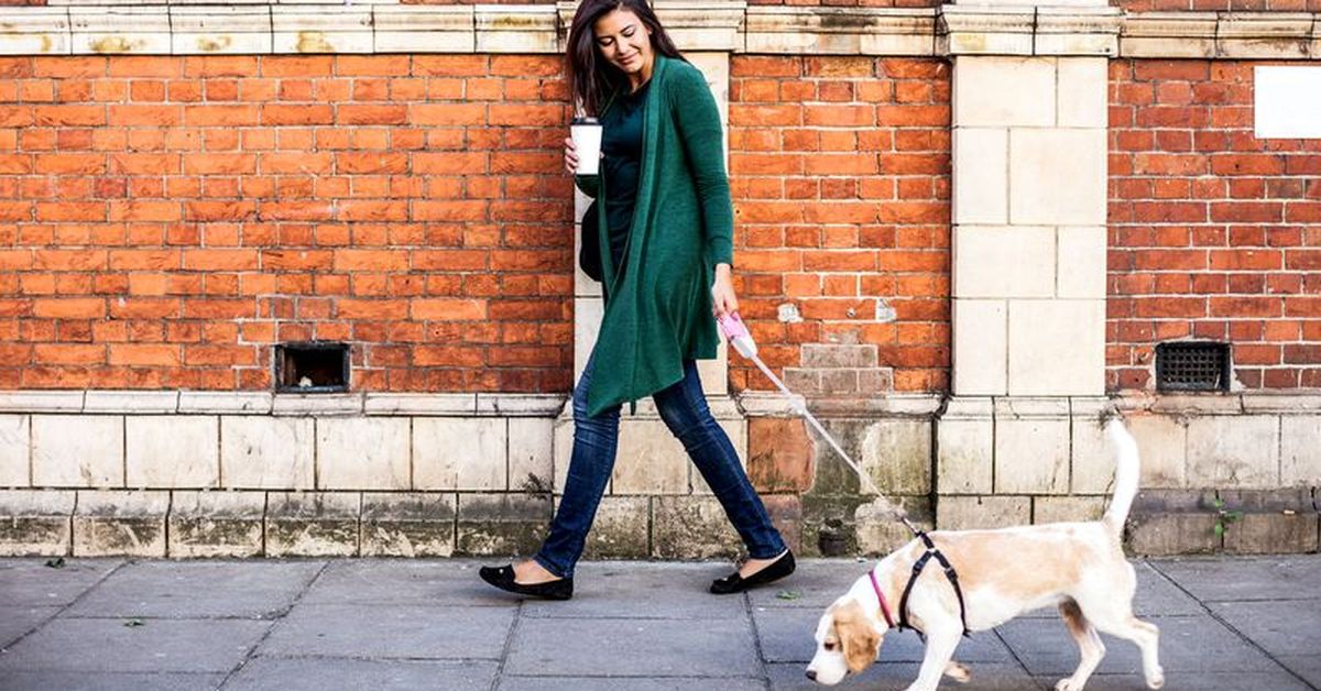 Woman wants dog owners to ditch poo bags in controversial campaign - Mirror  Online