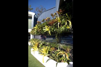 Something for the housemates with green thumbs...<br/><br/><b><a href="http://www.bigbrother.com.au" target="_blank">Visit the <i>Big Brother</i> official website</a></b>