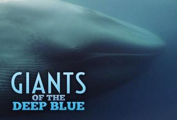 Giants of the Deep Blue
