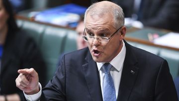 Treasurer Scott Morrison has blasted the Opposition as 'muppets' in a heated question time.