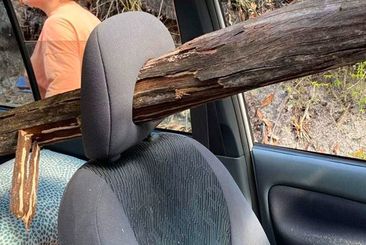 A group of teenagers exploring K&#x27;Gari during Schoolies had an incredible near miss when a tree pierced the windscreen of the car they were in.