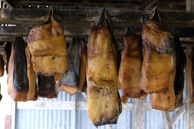 H&aacute;karl is fermented shark meat and is a Icelandic delicacy. It is so delicate, in fact, that many people in Iceland never get around the trying it.&#160;