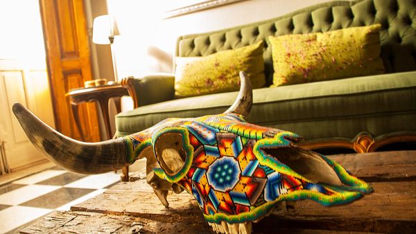 Decorated cattle skull in El Patio 77 room (Facebook)
