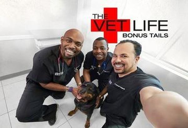 The Vet Life: Bonus Tails