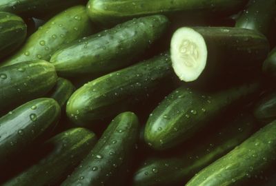 <strong>Cucumber</strong>