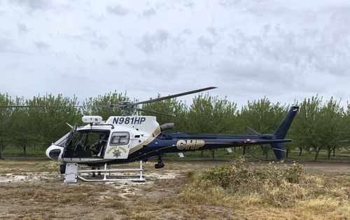 The Solano County sheriff's office said that when the boys walked into the canal Monday to attempt to save the dog, one of the boys touched a nearby electrified gate. 