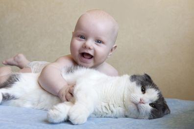 Babies and cats