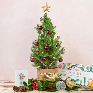 How you can get a tiny living Christmas tree delivered to your door