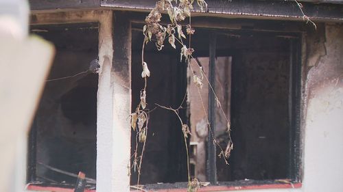 A﻿ Brisbane disability pensioner has lost his home of 30 years after a suspicious fire gutted the property in the early hours of this morning. Wayne Price managed to escape from the burning property in the suburb of Inala in the city's south-west after he woke up to smoke and flames at 2am.