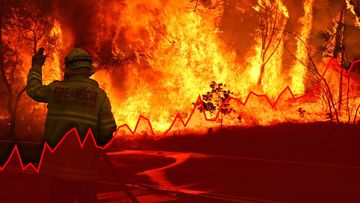 A firefighter works to supress a bushfire.