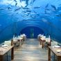 The most unique dining and drinking experiences around the globe