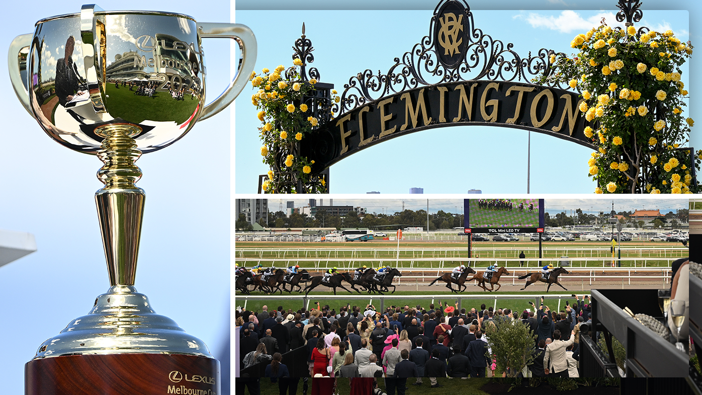 'What are you doing you moron?': Jockey Mark Zahra's instant regret after winning Melbourne Cup