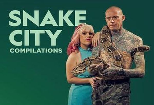Snake City Compilations