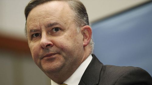 Government needs a plan: Albanese. (AAP)