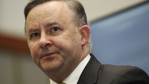 Anthony Albanese attacks extreme Green opponent