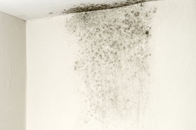 Mould on ceiling and wall