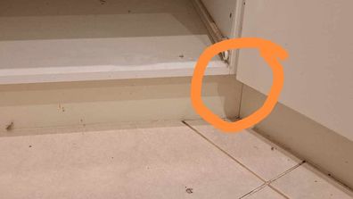 A yellow-faced whip snake was caught after sliding through a one-inch gap in a kitchen island cabinet. 