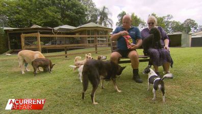Karen and Jamie Goullet with some of the dogs at their Sanctuary for Senior Dogs Brisbane.
