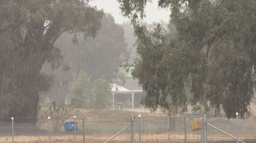 Wagga Wagga recorded 25mm of rain yesterday -  their highest single-day total since May.