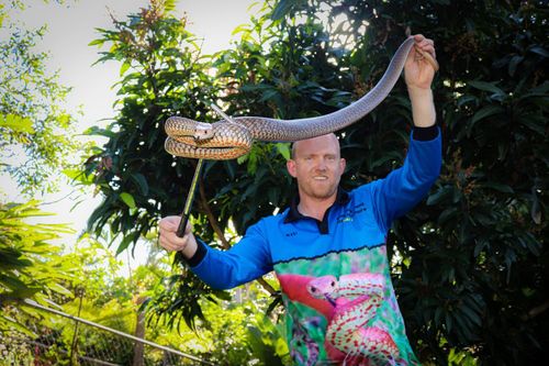 Snake catcher Stuart McKenzie finds social media stardom in unexpected  career 