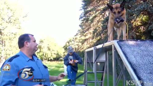 The St Paul K9 Foundation raises money to help keep working police dogs safe. (Supplied)